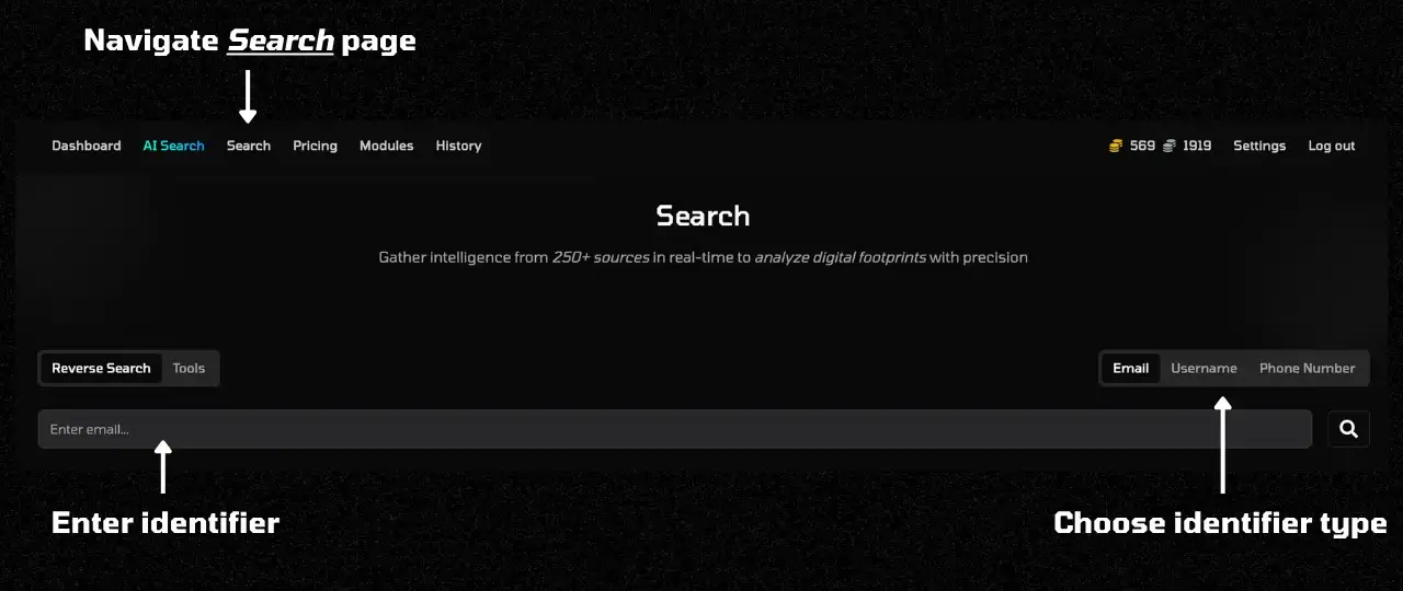 Platform Search Interface